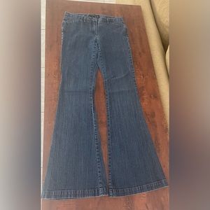 Theory low rise flare jeans • size 0 (fits larger) • new condition